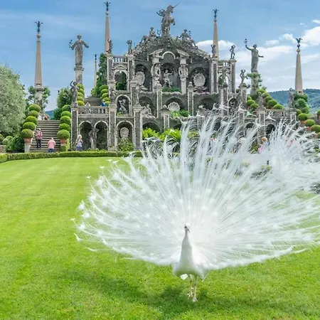 Attico Vistalago - Centro Citta Apartman